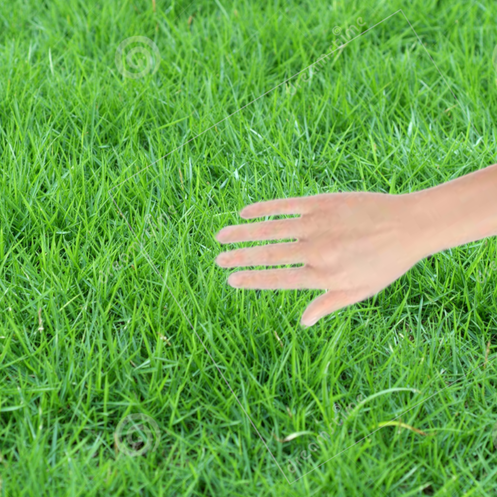 how to touch grass 