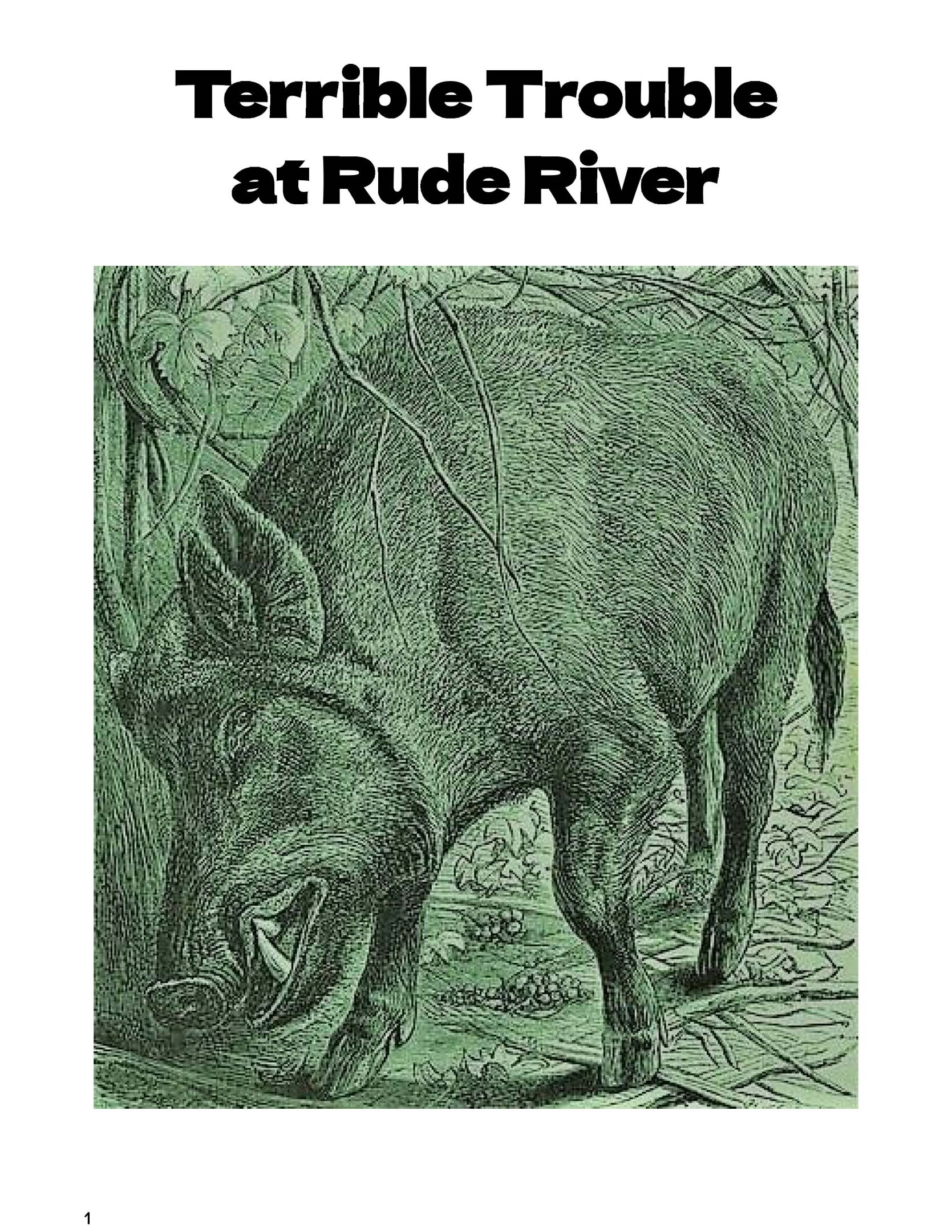 Cover image for Terrible Trouble at Rude River
