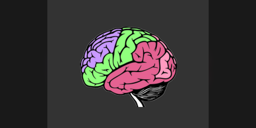 Cover image for Brainfuck-Studio