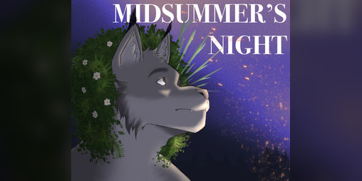 Cover image for Midsummer's Night