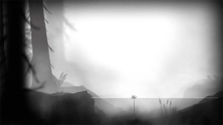 Pond Pond