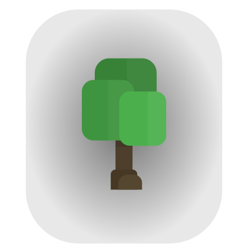 Life In Forest