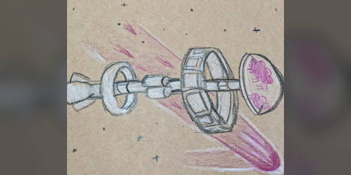 Cover image for A True History of the Adamant Gambit
