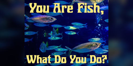 Cover image for You Are Fish, What Do You Do?