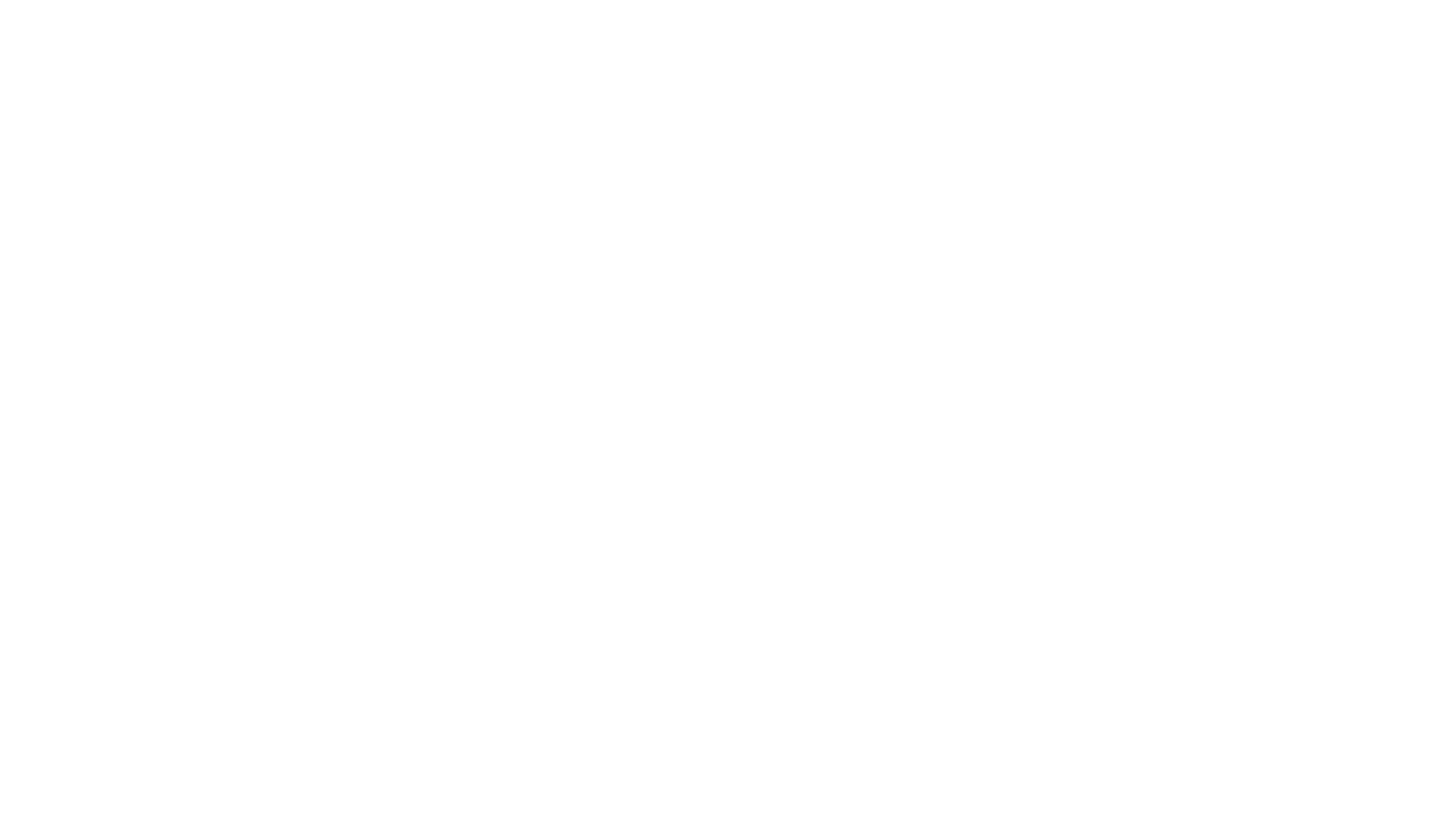 Braai Simulator