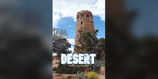 Cover image for Desert: An Audiobook