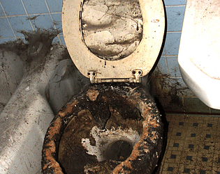 Toilette