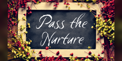 Cover image for Pass the Nurture
