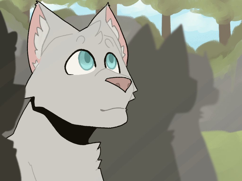 Warrior Cats is Life