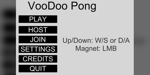 Cover image for VooDoo Pong
