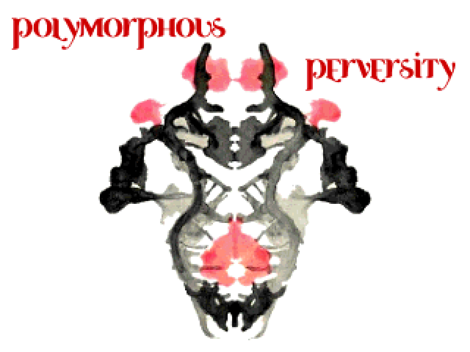 Cover image for Polymorphous Perversity