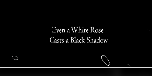 Cover image for Even a White Rose Casts a Black Shadow