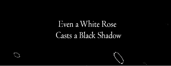 Cover image for Even a White Rose Casts a Black Shadow
