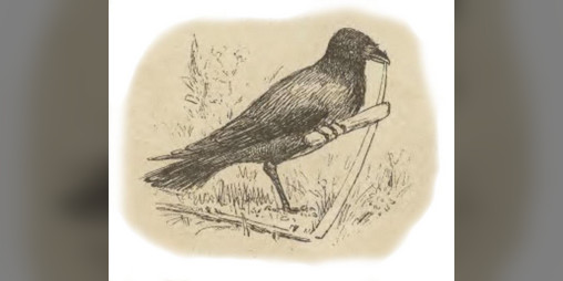 Cover image for Anti-Desert: The Playkit Edition
