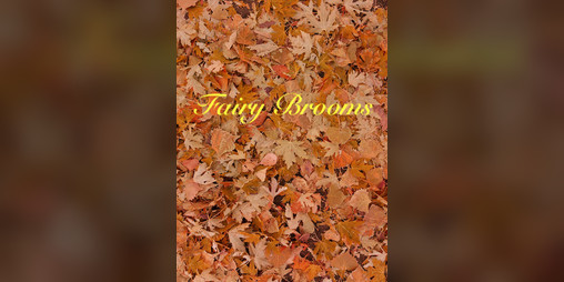 Cover image for Fairy Brooms