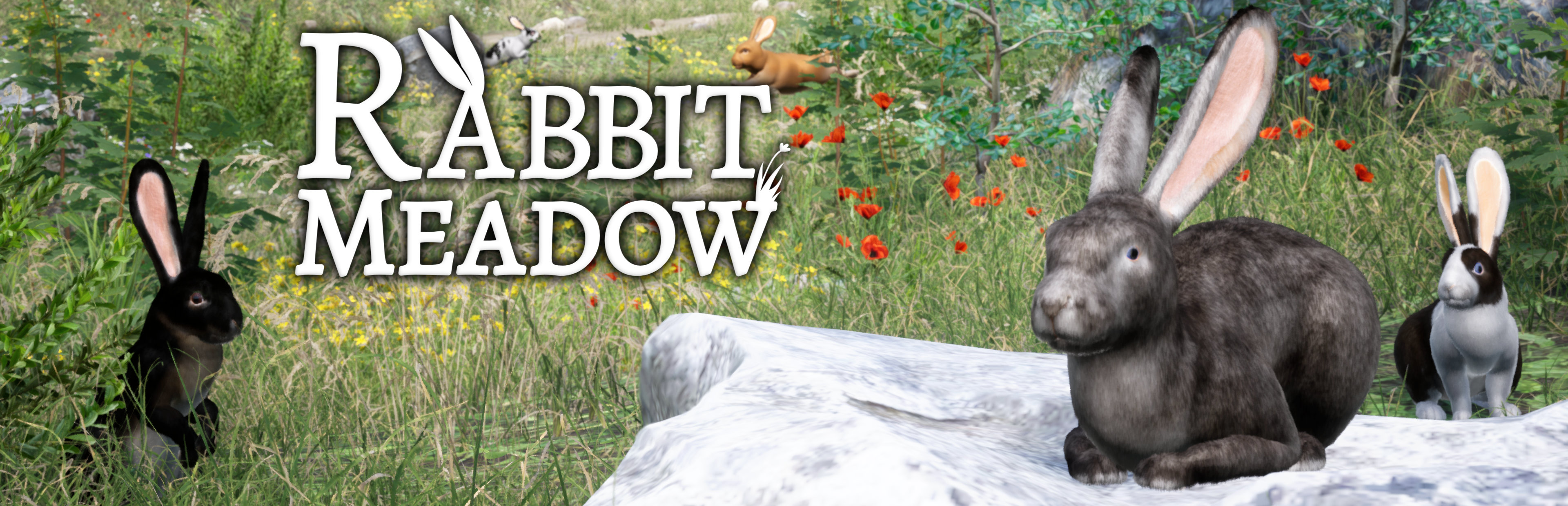 Rabbit Meadow