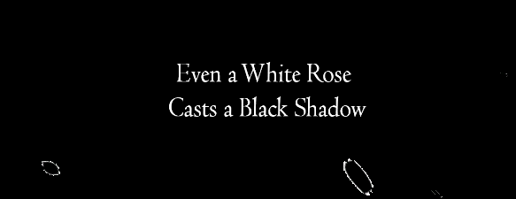 Even a White Rose Casts a Black Shadow