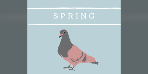 Cover image for Spring