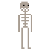 skeleton