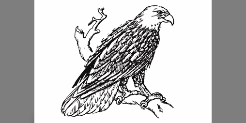 Cover image for Only in Omerica (early release)