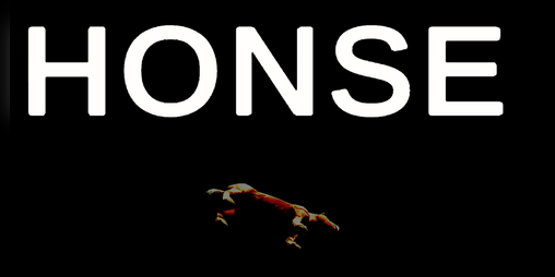 Cover image for HONSE