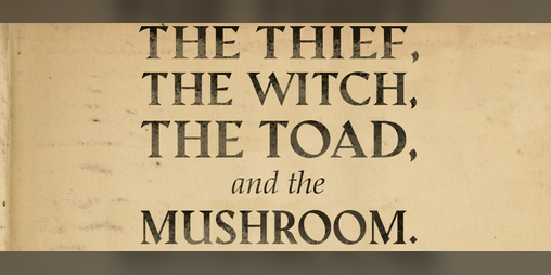 Cover image for The Thief, the Witch, the Toad and the Mushroom