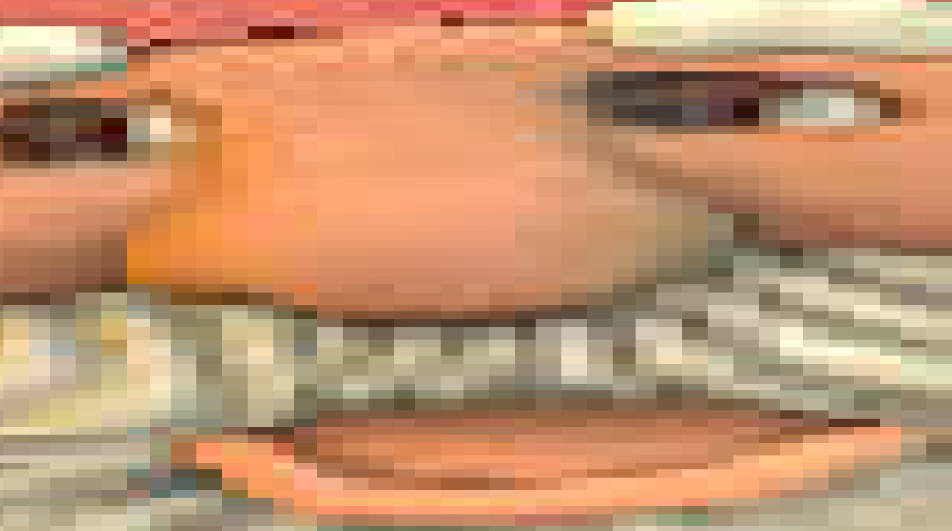 Gnome The Sock