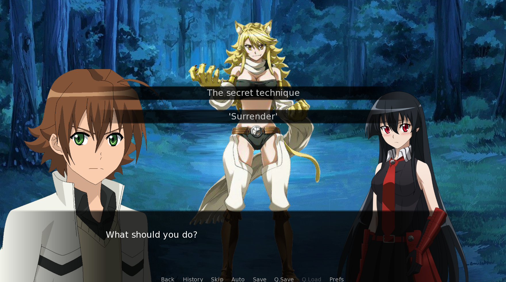 Akame ga Kill Visual Novel (Fan Made) by Tokumei