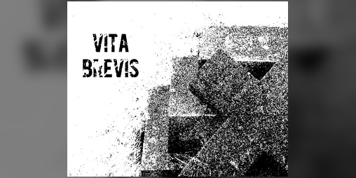 Cover image for Vita Brevis