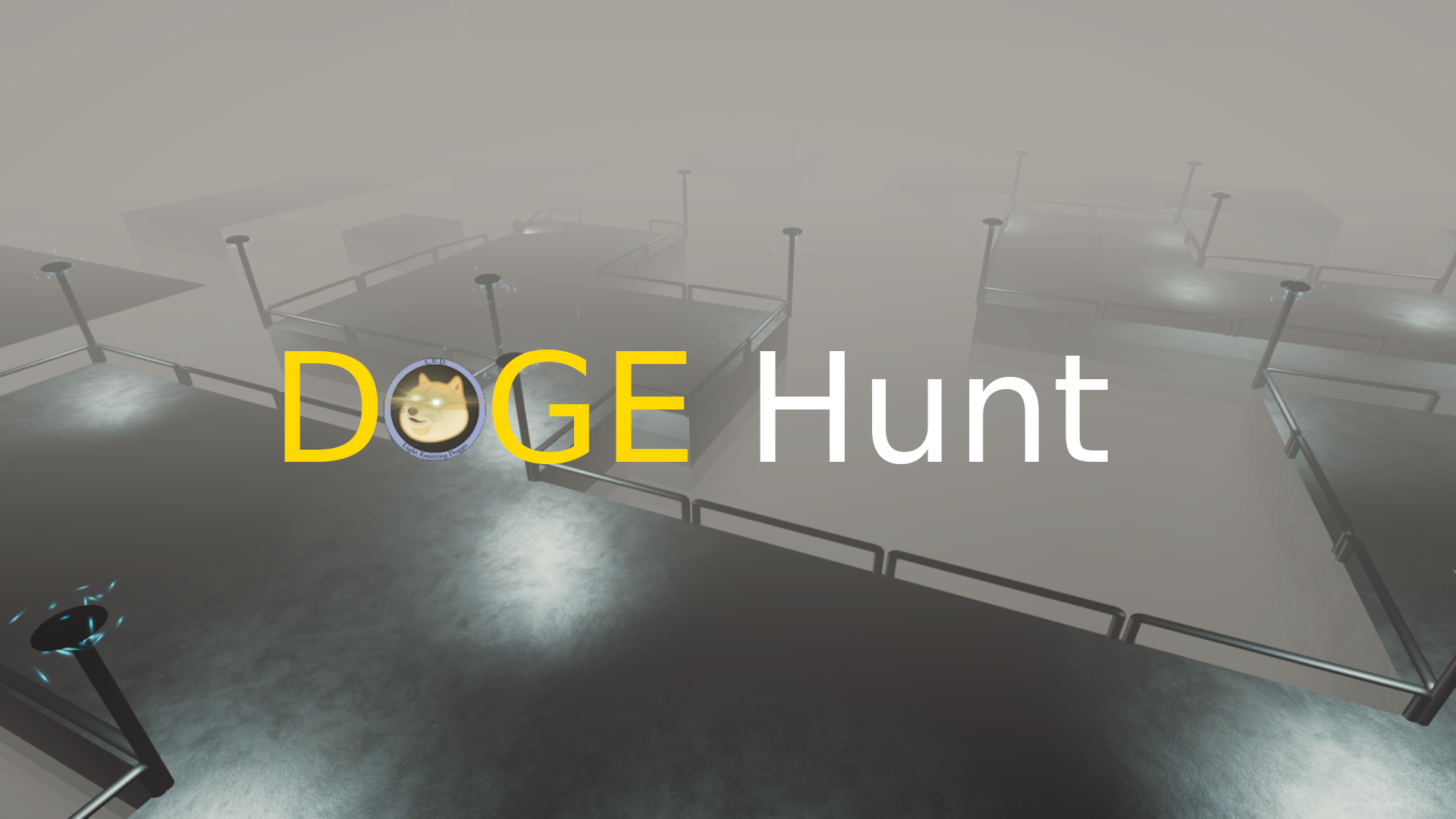 DOGE Hunt
