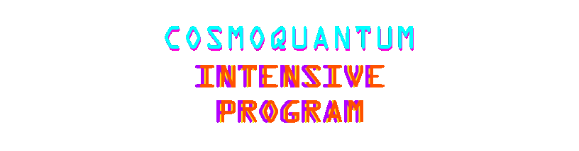 INTENSIVE PROGRAM