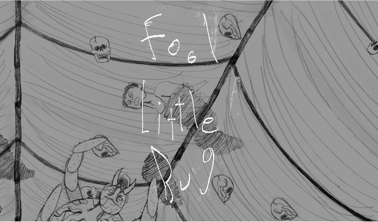 Cover image for Fool Little Bug