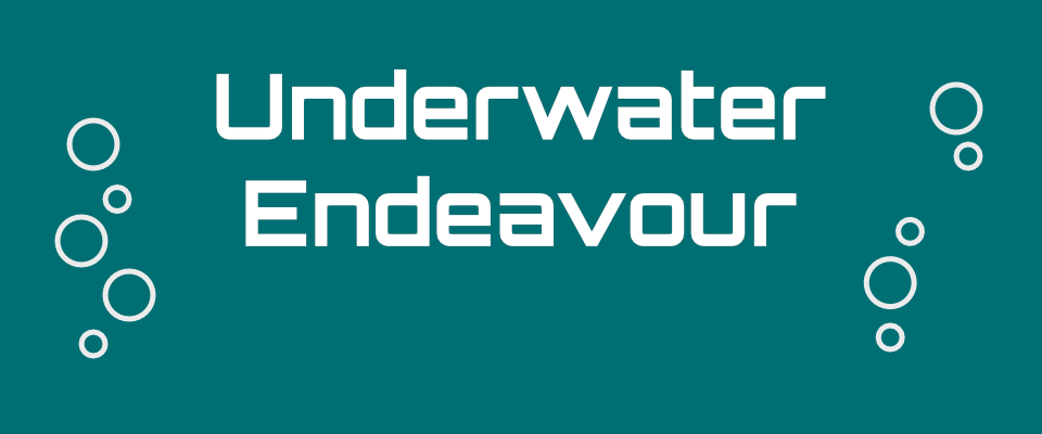 Underwater Endeavour
