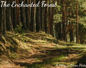 The Enchanted Forest cover