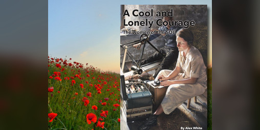 Cover image for A Cool and Lonely Courage