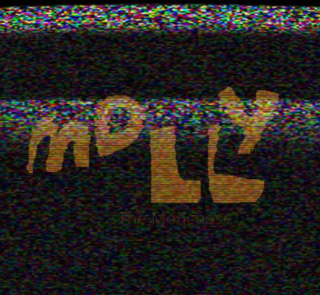 Cover image for Molly The Mongoose