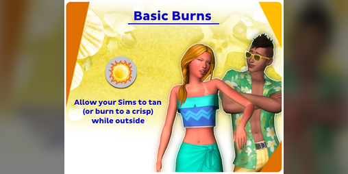 Cover image for Basic Burns