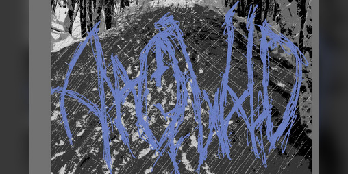 Cover image for Anaqwald
