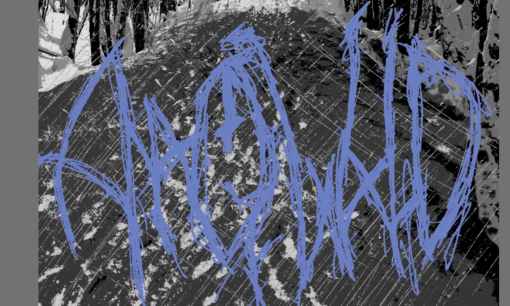Cover image for Anaqwald