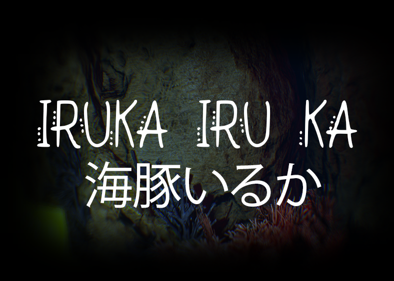 Iruka Iru Ka