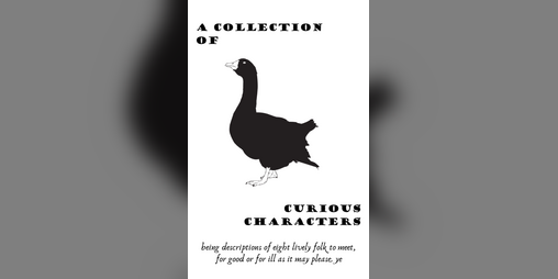 Cover image for A Collection Of Curious Characters