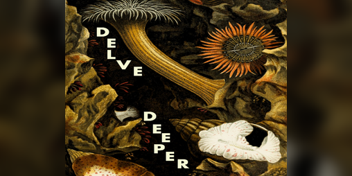 Cover image for Delve Deeper - Playtest Alpha