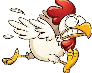 Running Chicken