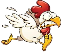 Running Chicken