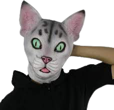 Five nights at furries