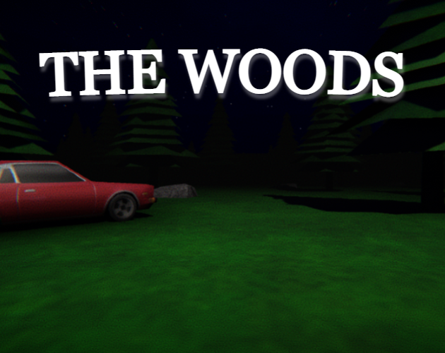 Cover image for The Woods