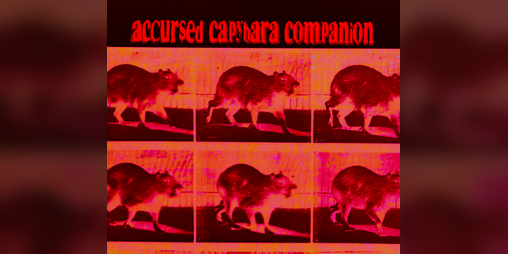 Cover image for accursed capybara companion