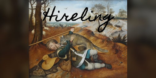 Cover image for Hireling