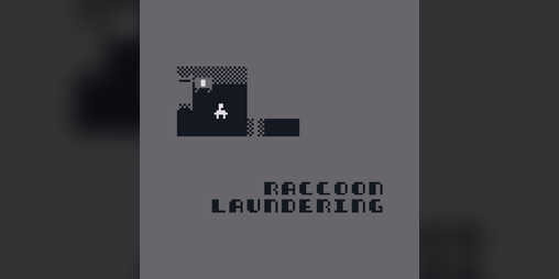 Cover image for RACCOON LAUNDERING