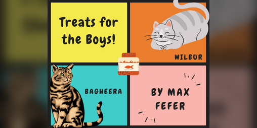 Cover image for Treats for the Boys!